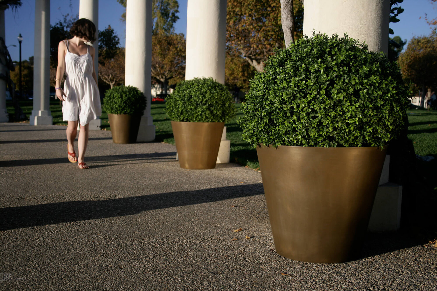 Stylish woman walking by large planters with small shrubbery in them.