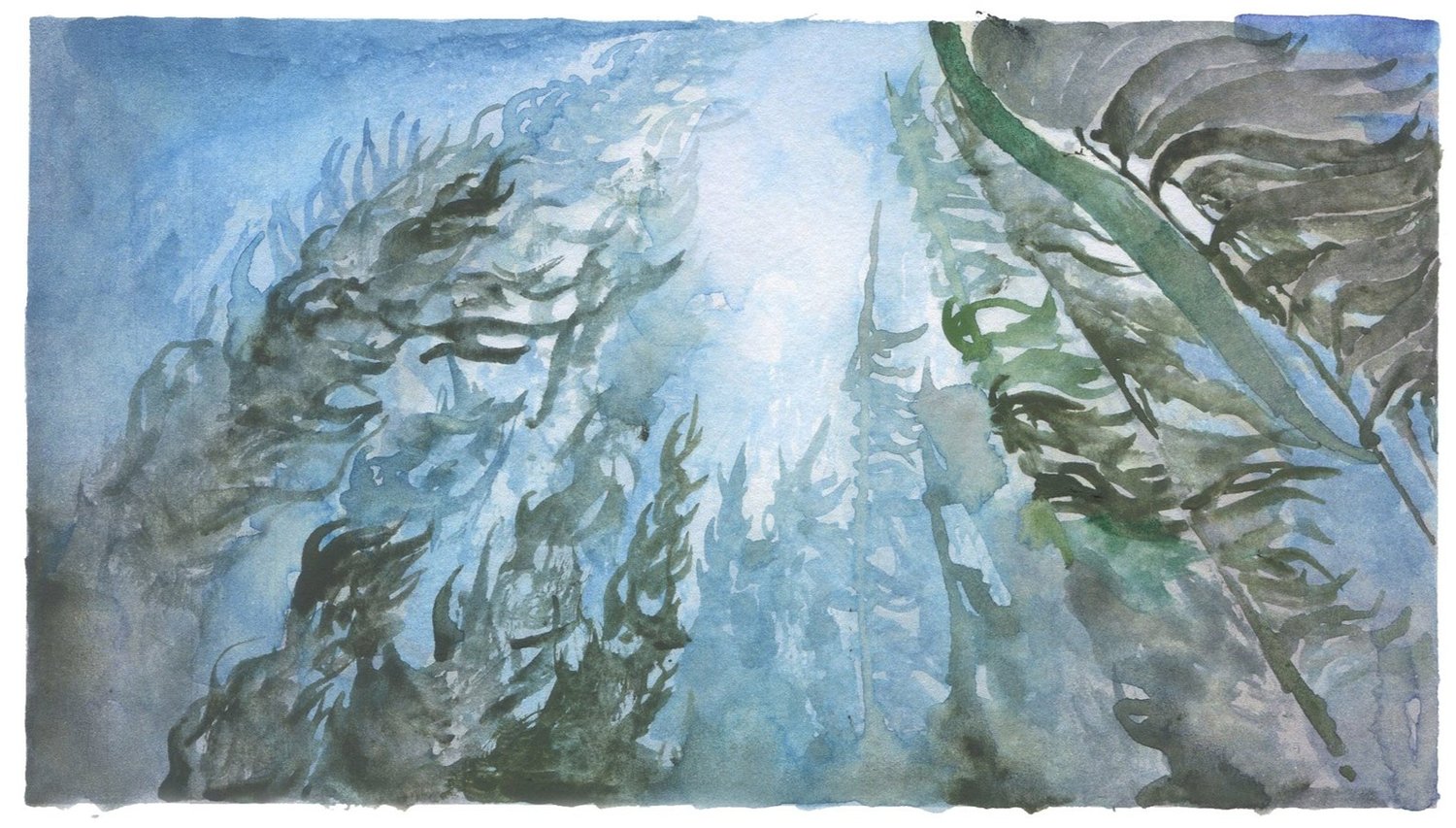 Painting of kelp as seen from underwater.