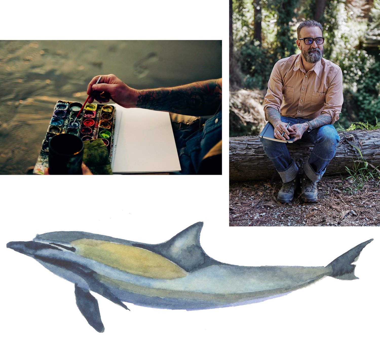 Three images: One of the artist sitting on a log watching. One is a closeup of his hands as he paints. The third is a painting of a dolphin.
