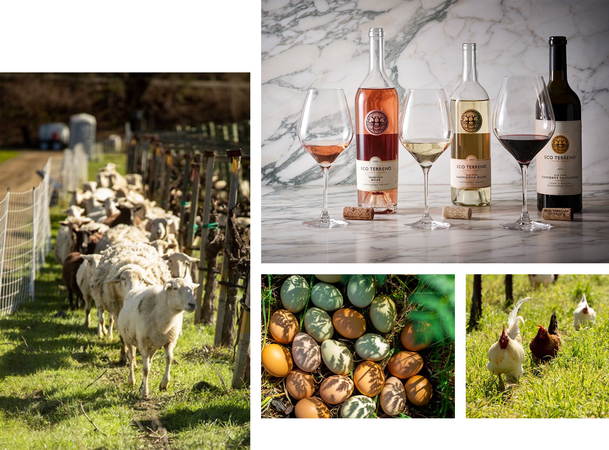 Four images: One of a herd of goats; one of a group of free ranging chickens; a group of multi-colored eggs under a bush; and, a counter with three bottles of wine.